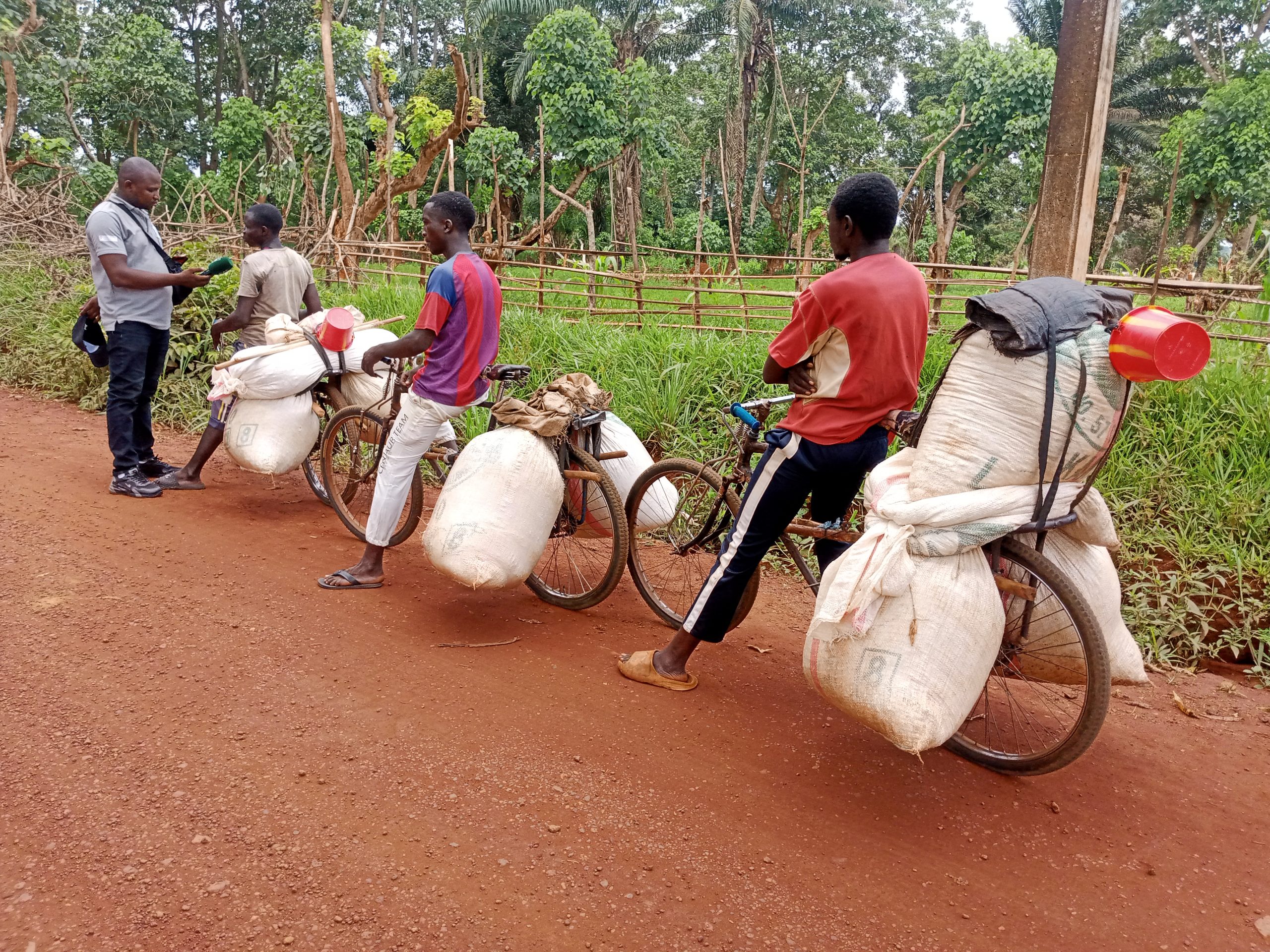 Le vélo, pilier de la mobilité à Bangassou