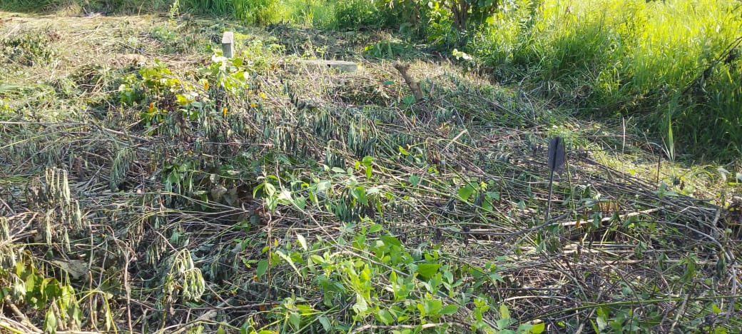 Profanation de sépultures à Liton : les habitants dénoncent des aménagements fonciers