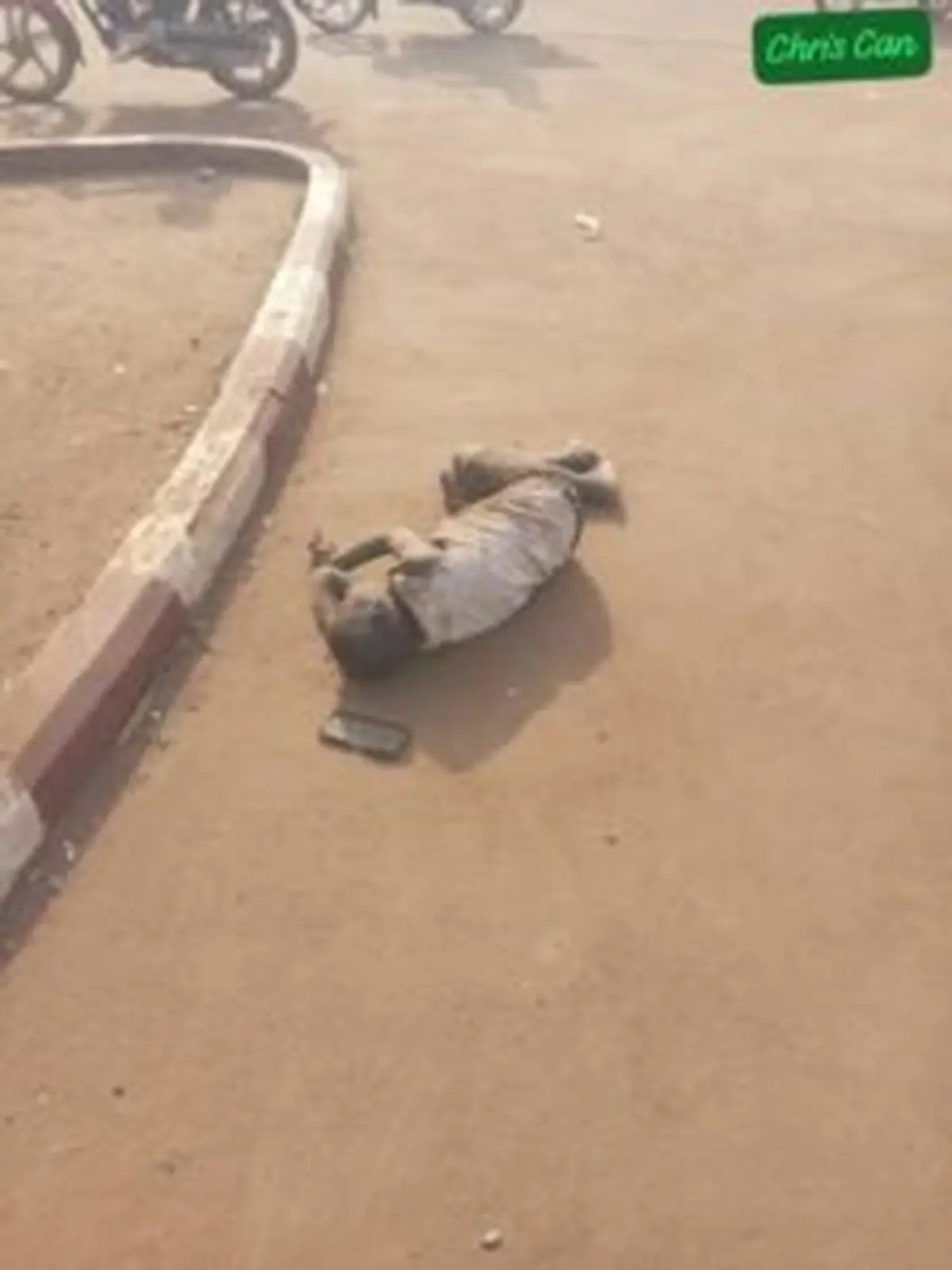 Bangui : L'alarme des éducateurs face à la crise des enfants des rues