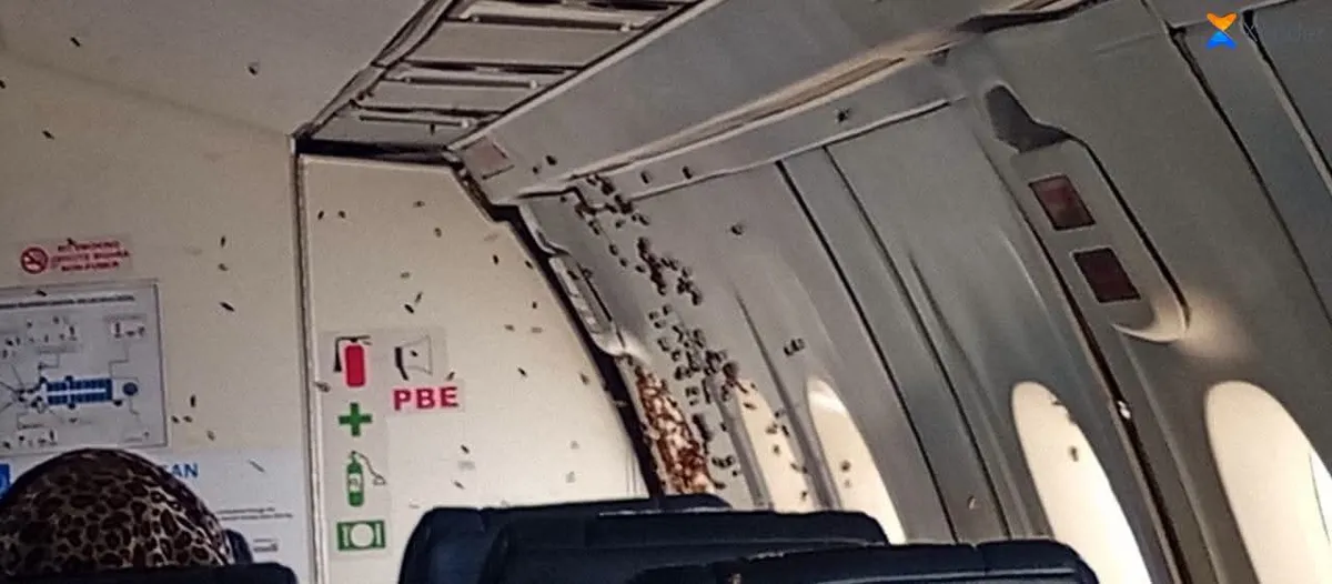 Avion humanitaire de l'ONU contraint d'atterrir à Bambari suite à une invasion d'abeilles