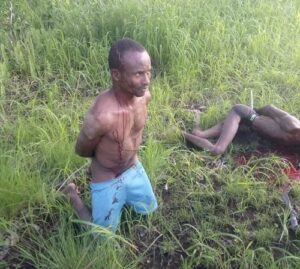 Le Régime de Bangui : Une Justice au Service de la Prédation